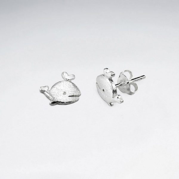 Boucles D'oreilles Baleine Argent